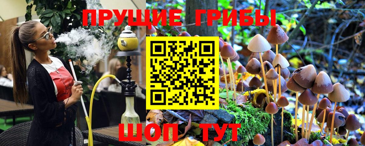 Псилоцибиновые грибы прущие грибы Орёл